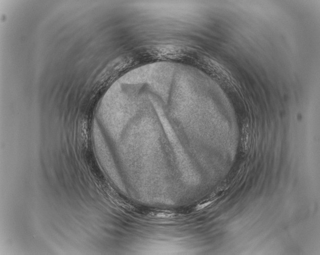 X0000086930506200705071356