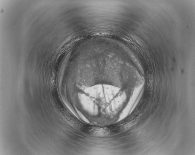 X0000086930507200705071356