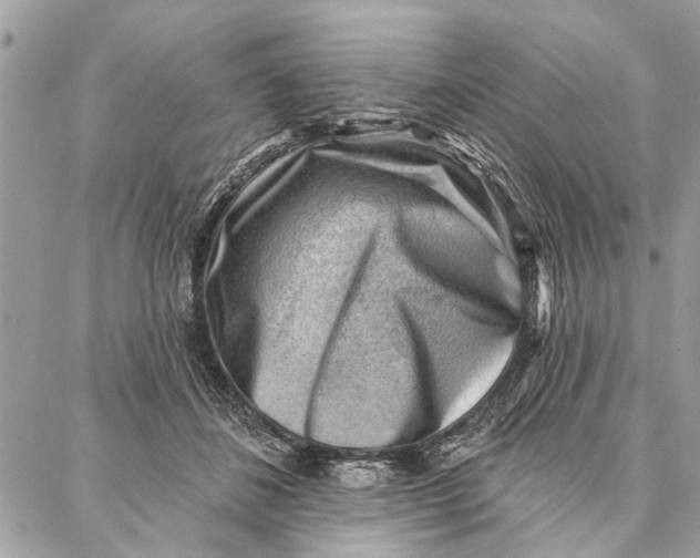 X0000086930508200705071356