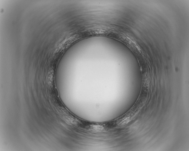 X0000086930509200705071356