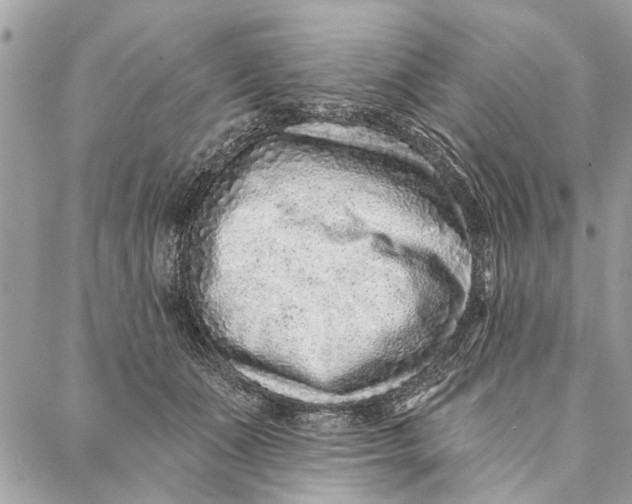 X0000086930511200705071356