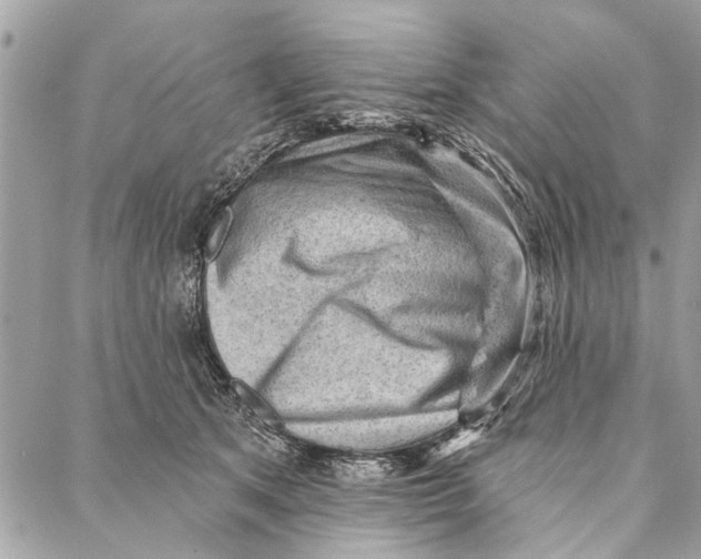 X0000086930513200705071356