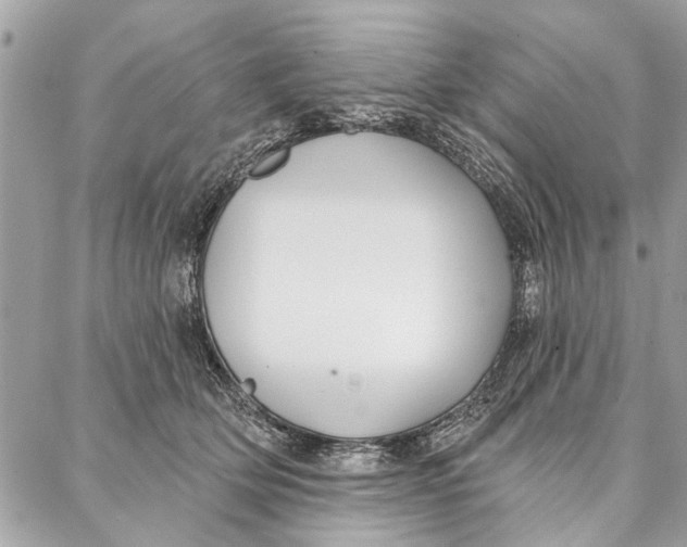 X0000086930514200705071356