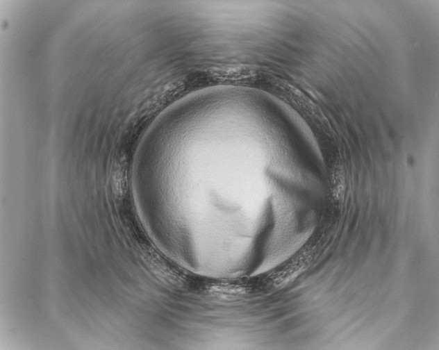 X0000086930515200705071356