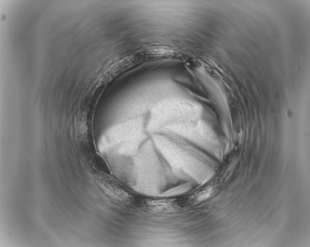 X0000086930516200705071356