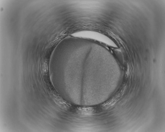 X0000086930517200705071356