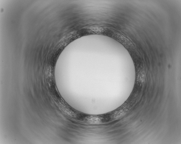 X0000086930518200705071356