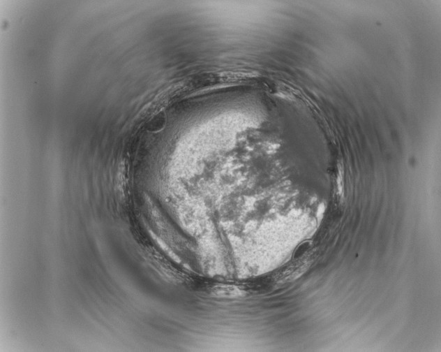 X0000086930519200705071356