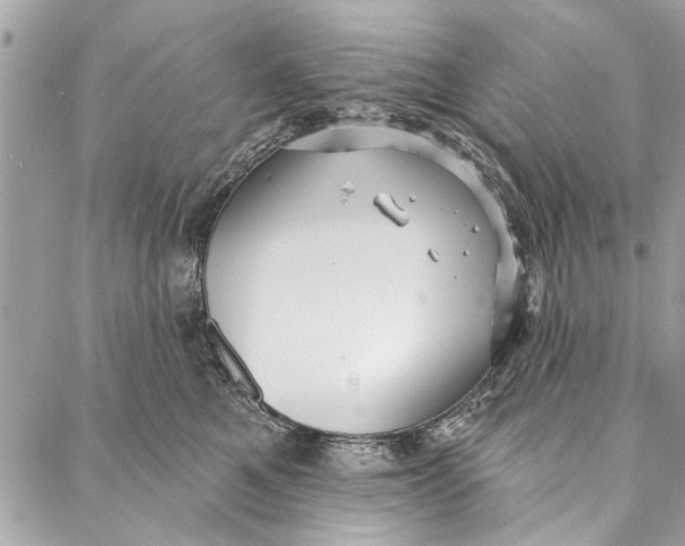 X0000086930521200705071356