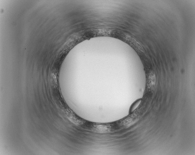 X0000086930522200705071356