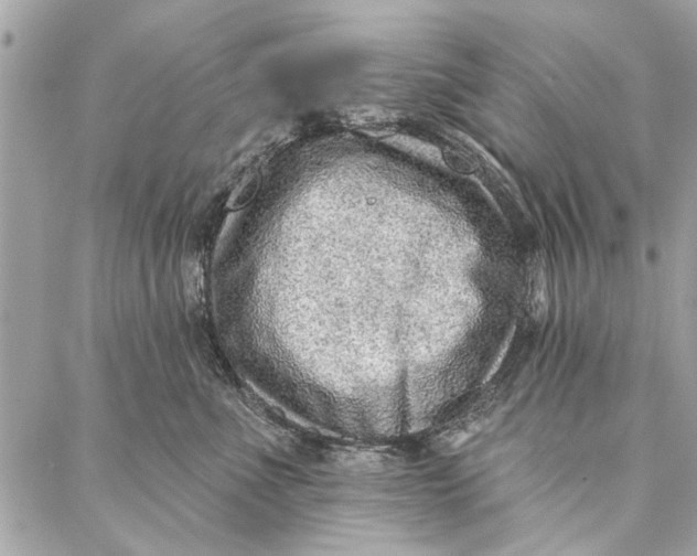 X0000086930523200705071356