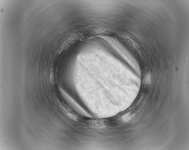 X0000086930524200705071356