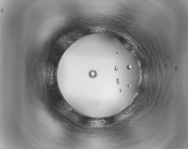 X0000086930525200705071356