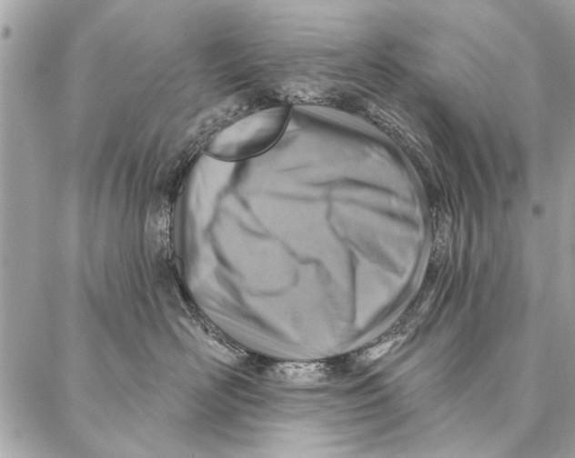 X0000086930526200705071356