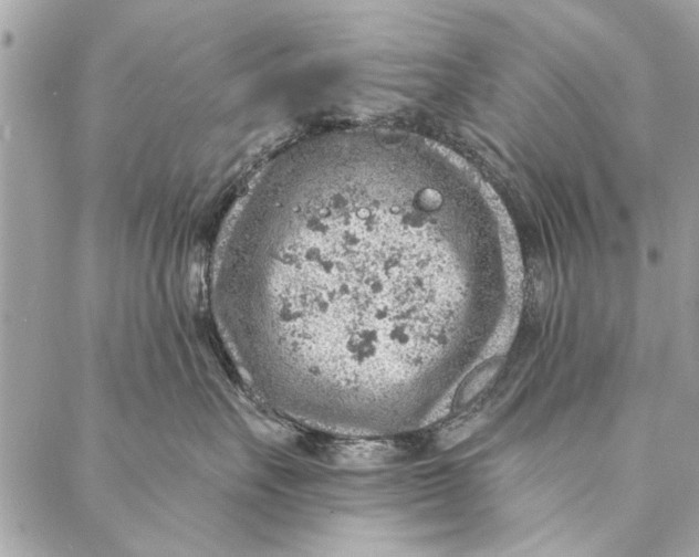 X0000086930527200705071356