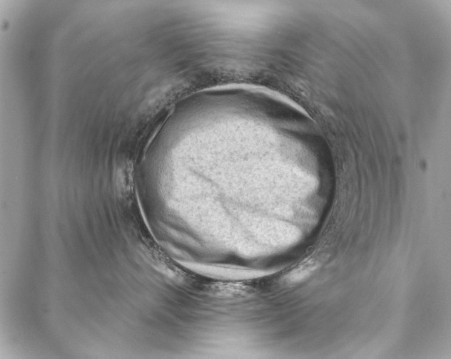 X0000086930528200705071356