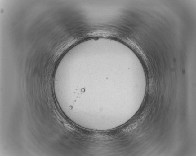 X0000086930529200705071355