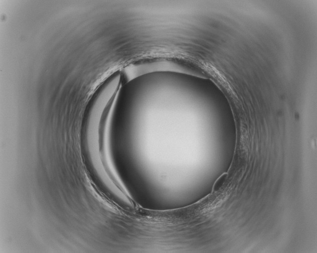 X0000086930530200705071355