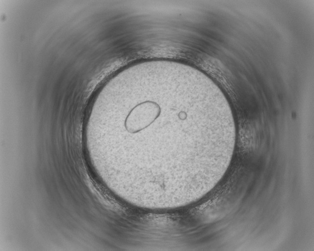 X0000086930534200705071355