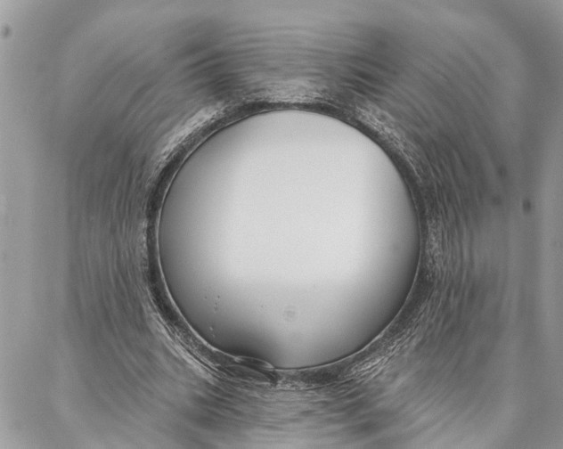 X0000086930535200705071355