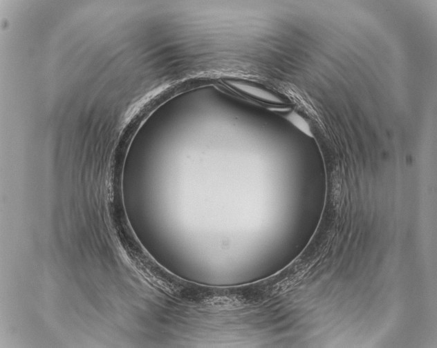 X0000086930536200705071355