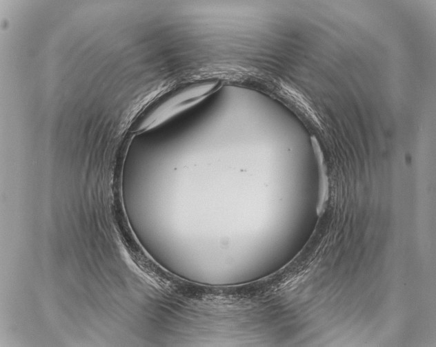 X0000086930538200705071355