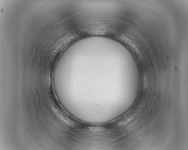 X0000086930541200705071355