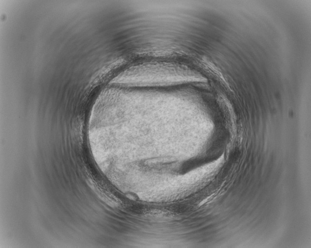 X0000086930542200705071355