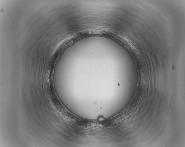 X0000086930543200705071355