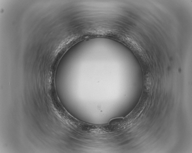 X0000086930544200705071355