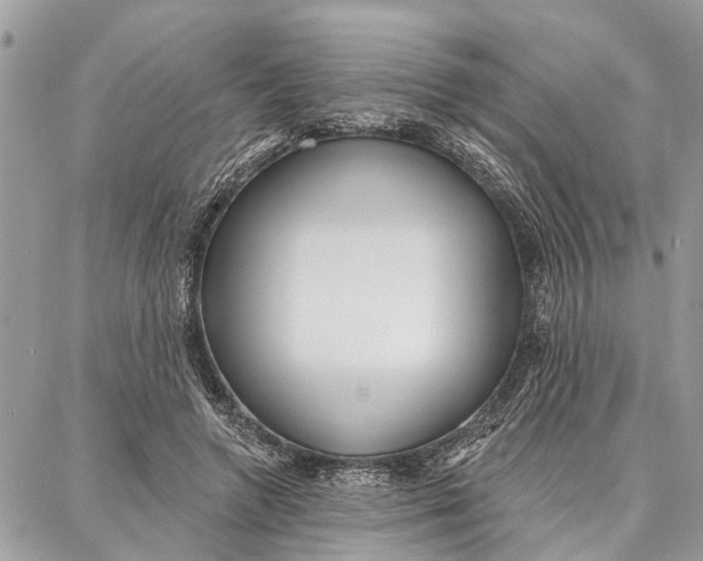 X0000086930546200705071355