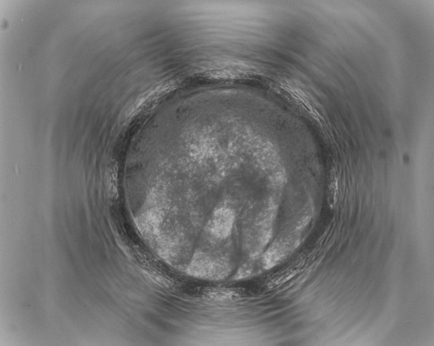 X0000086930547200705071355