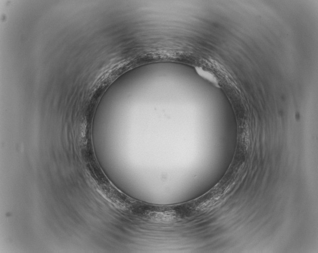 X0000086930548200705071356