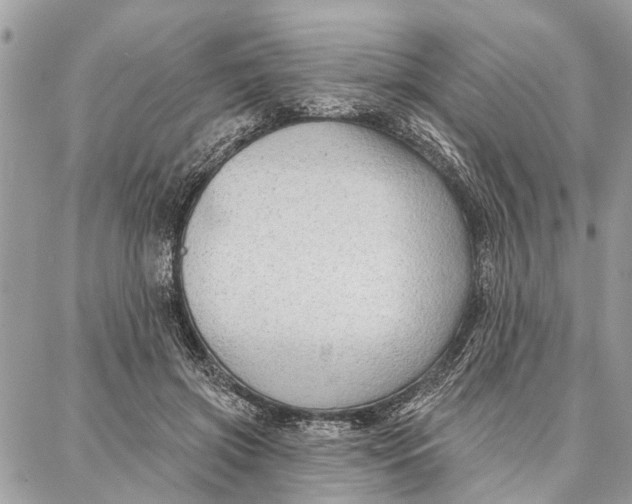 X0000086930549200705071356