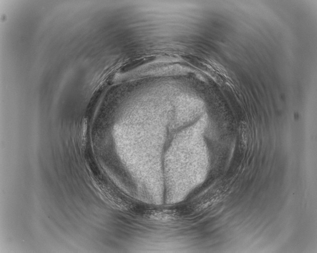 X0000086930550200705071356