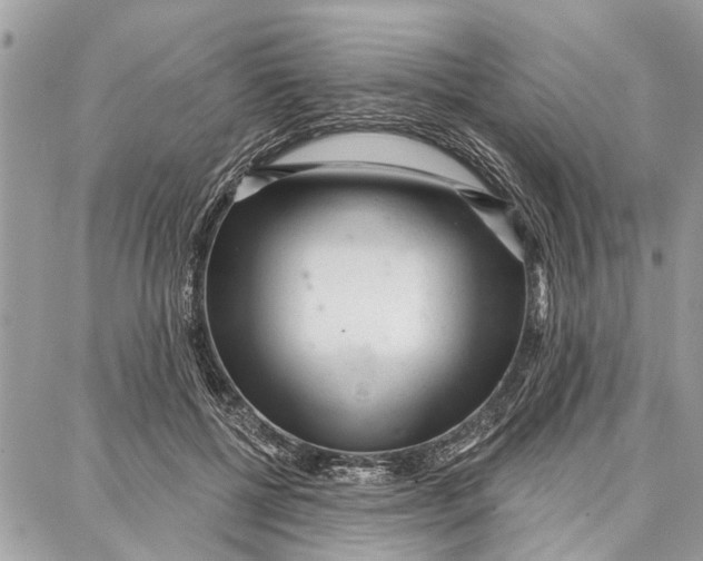 X0000086930552200705071356