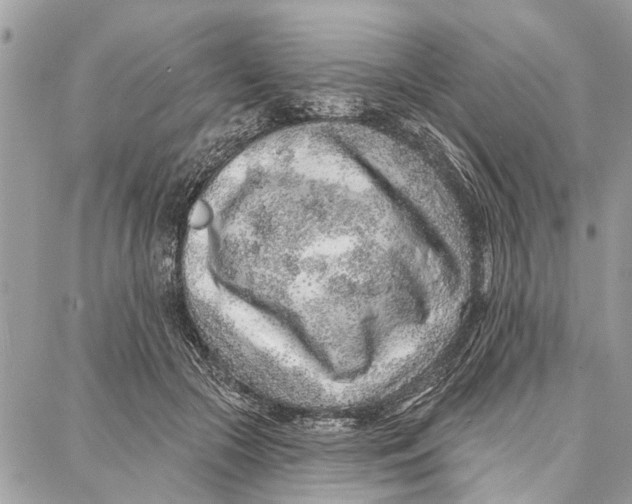 X0000086930553200705071356