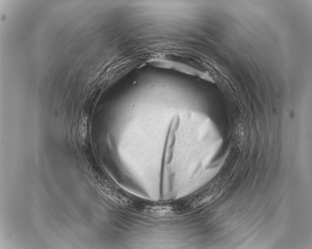 X0000086930554200705071356