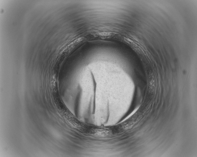 X0000086930555200705071356