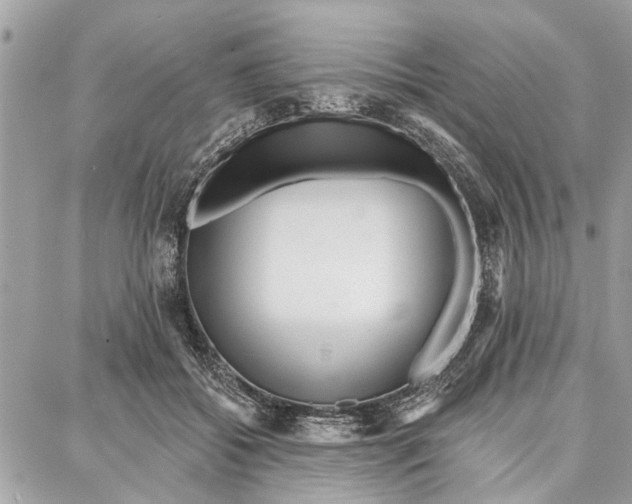 X0000086930556200705071356