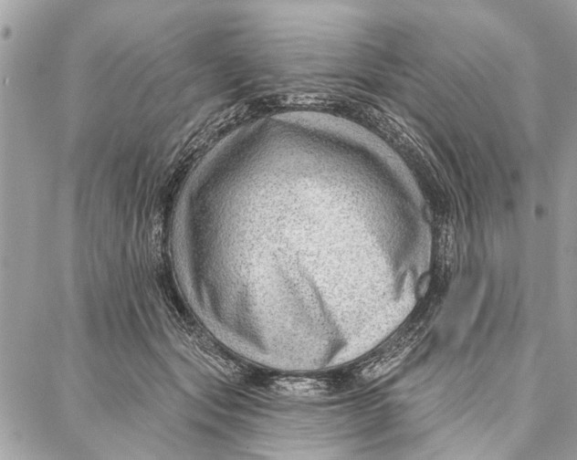 X0000086930557200705071356