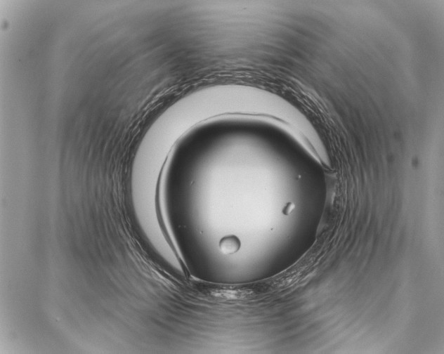 X0000086930558200705071356