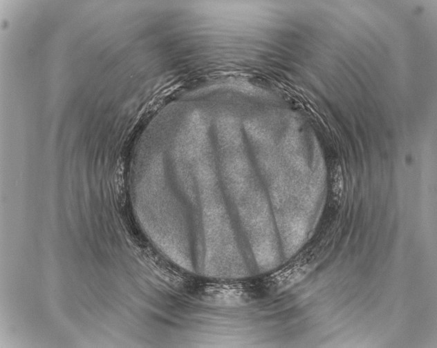 X0000086930559200705071356