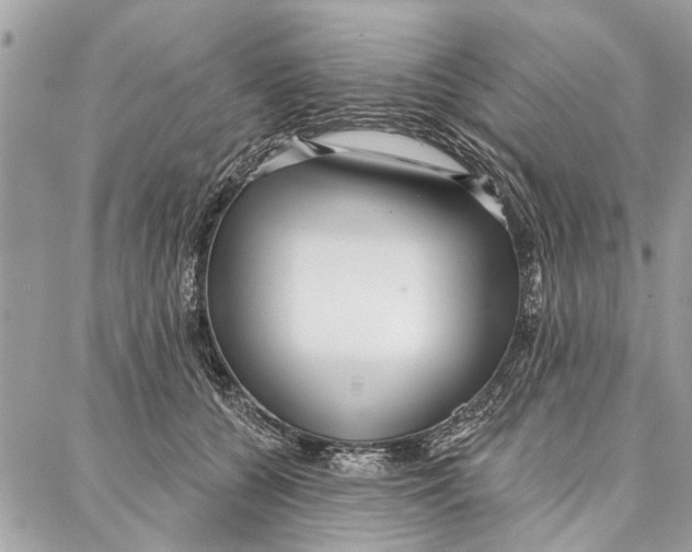 X0000086930560200705071356