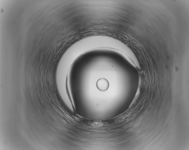 X0000086930562200705071356