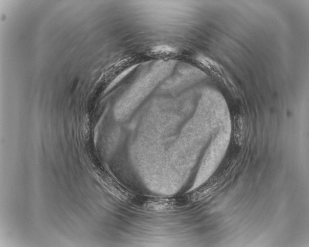 X0000086930563200705071356