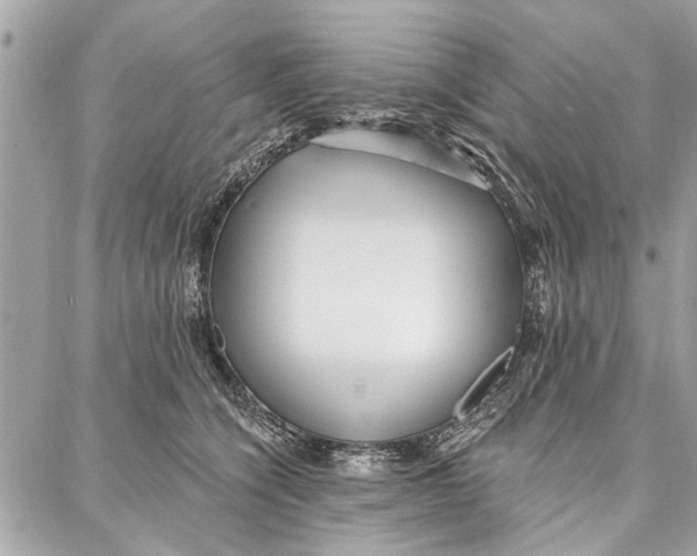 X0000086930564200705071356