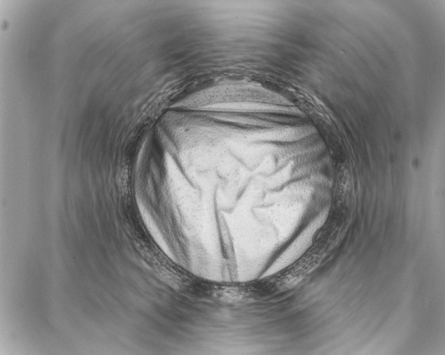 X0000086930565200705071356