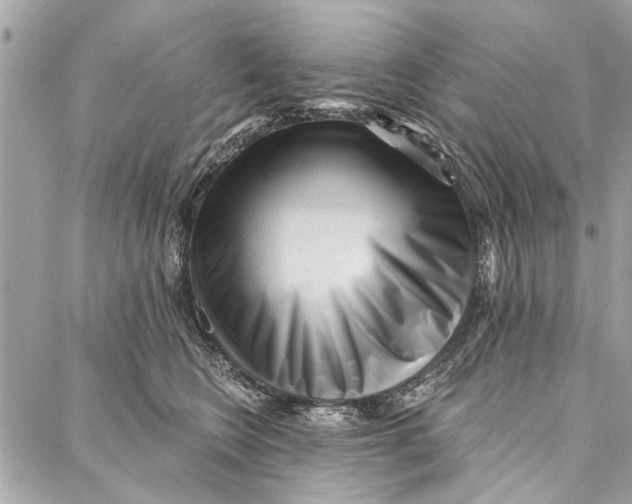 X0000086930566200705071356