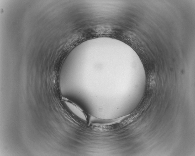 X0000086930567200705071356